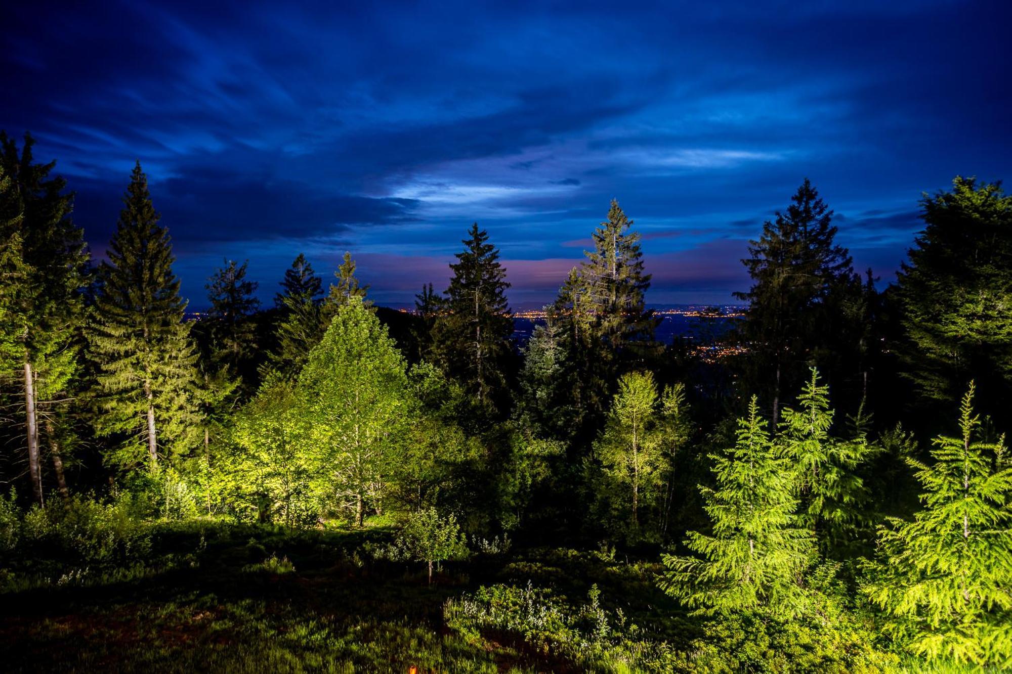 Sonnenhaeusle - Natur. Fernblick. Panorama-Sauna. Sasbachwalden Eksteriør billede