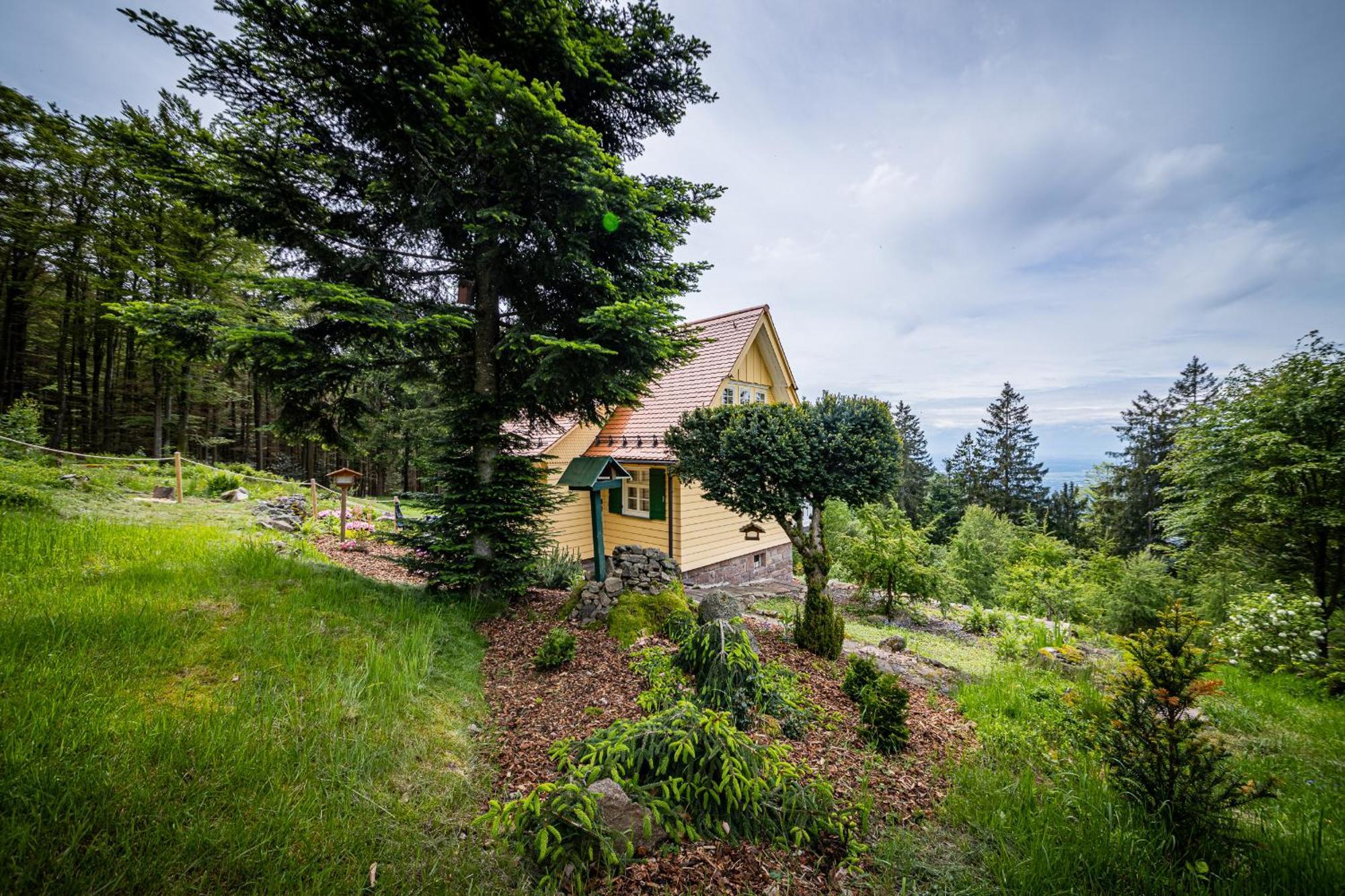Sonnenhaeusle - Natur. Fernblick. Panorama-Sauna. Sasbachwalden Eksteriør billede