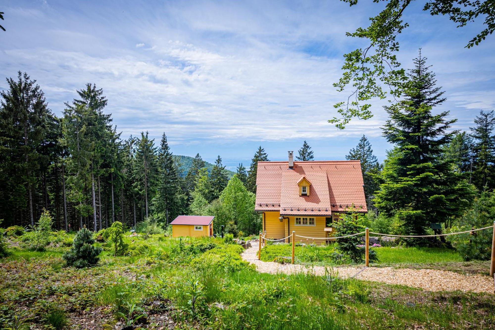 Sonnenhaeusle - Natur. Fernblick. Panorama-Sauna. Sasbachwalden Eksteriør billede