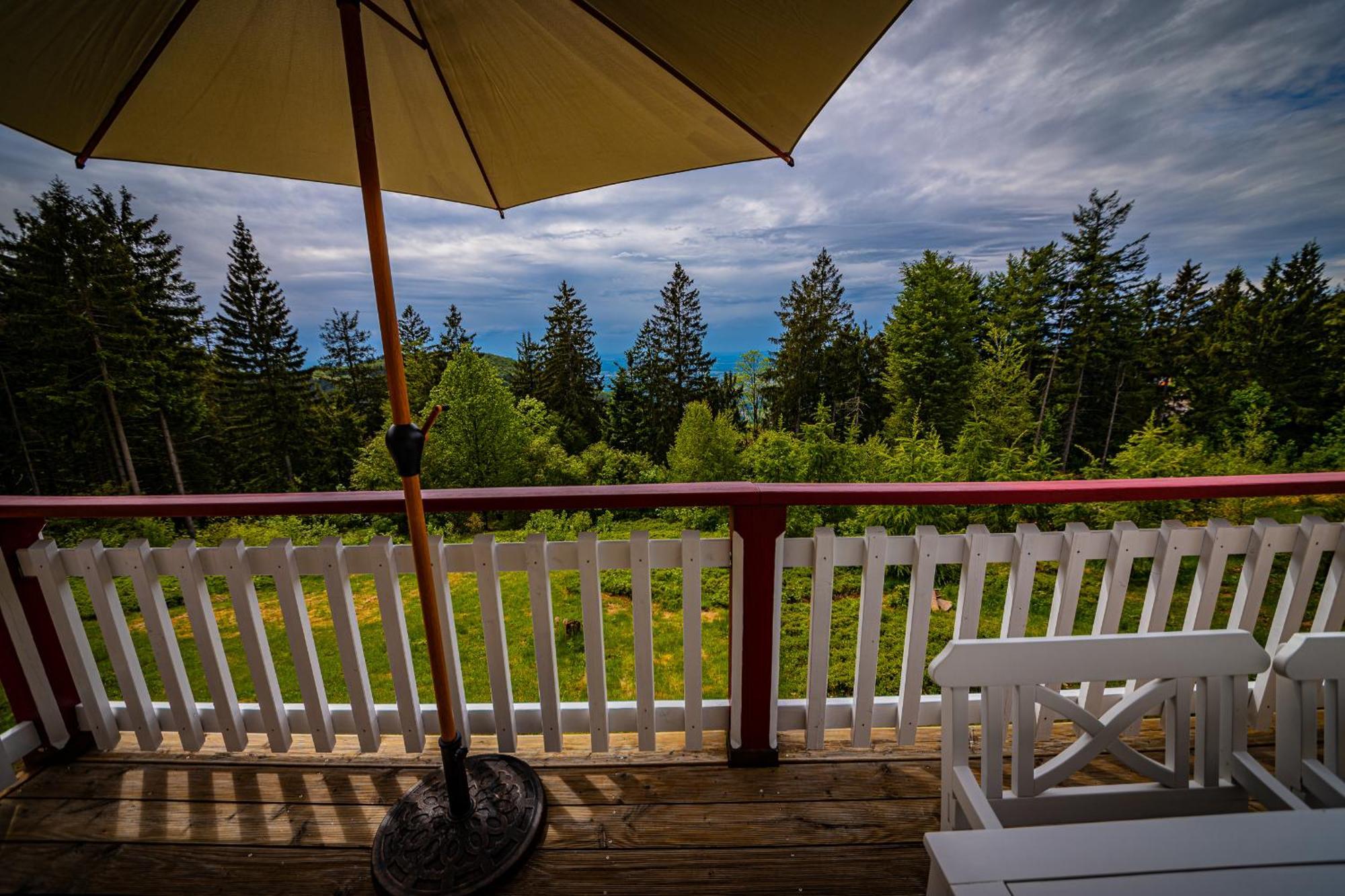 Sonnenhaeusle - Natur. Fernblick. Panorama-Sauna. Sasbachwalden Eksteriør billede