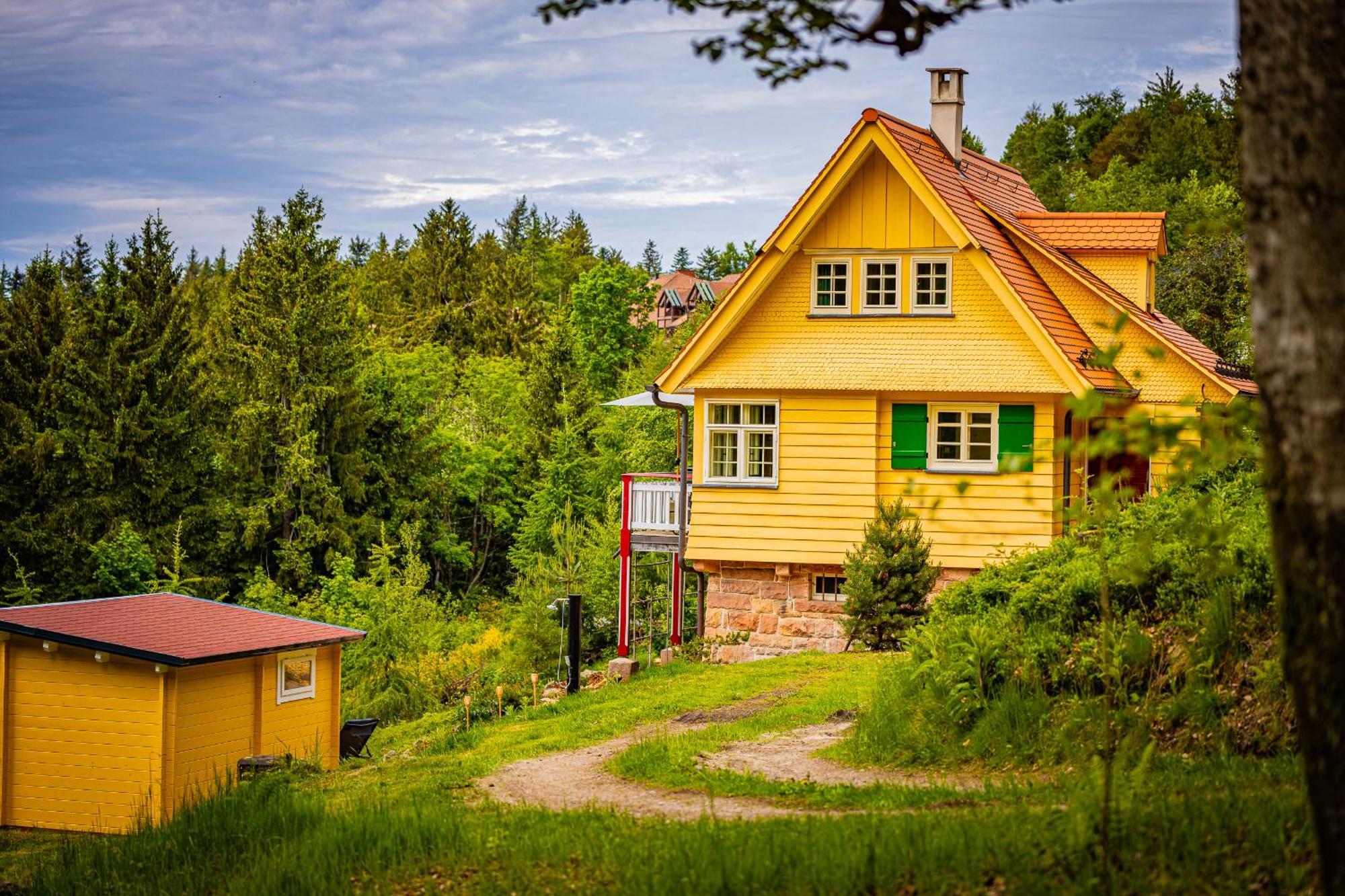 Sonnenhaeusle - Natur. Fernblick. Panorama-Sauna. Sasbachwalden Eksteriør billede