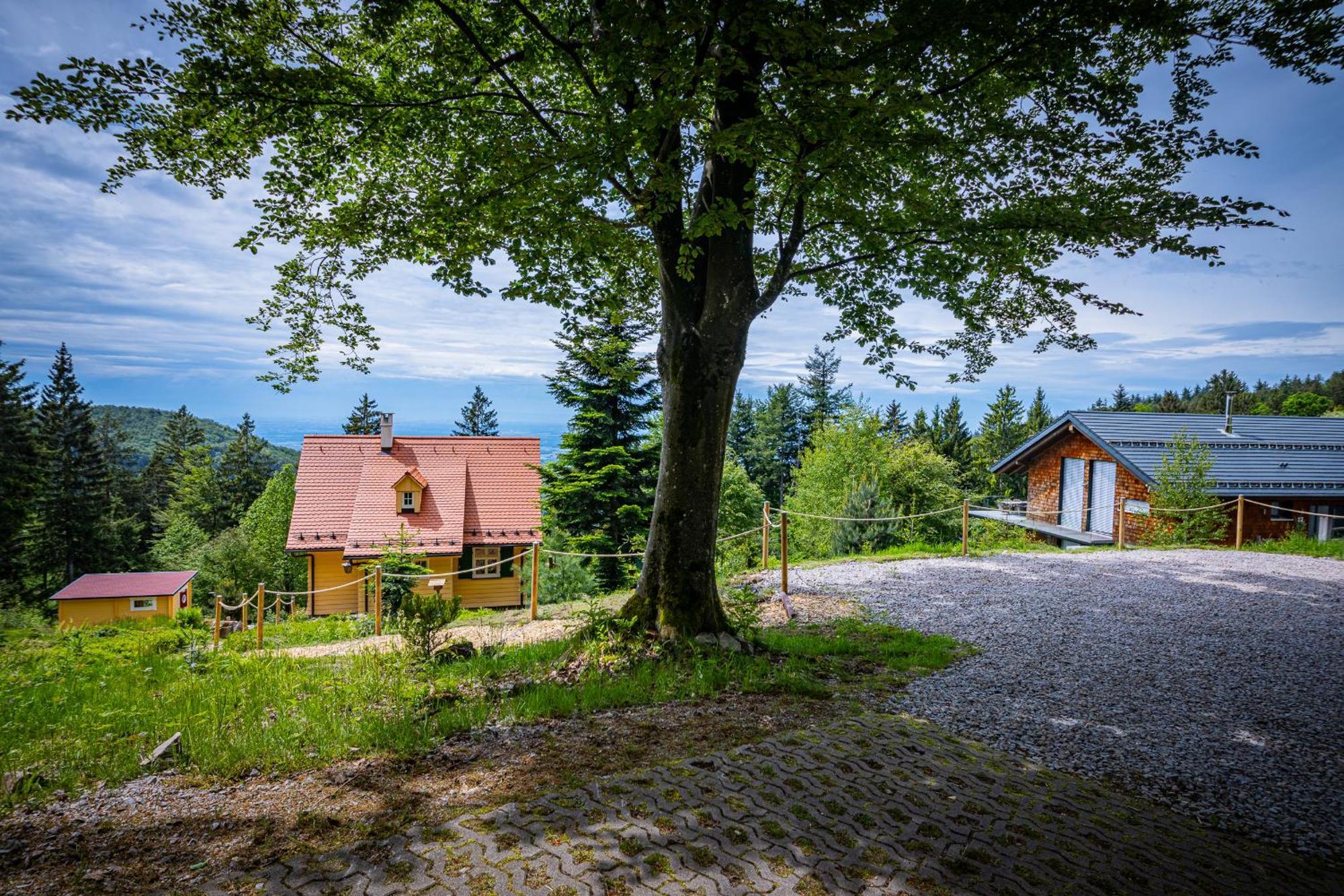 Sonnenhaeusle - Natur. Fernblick. Panorama-Sauna. Sasbachwalden Eksteriør billede