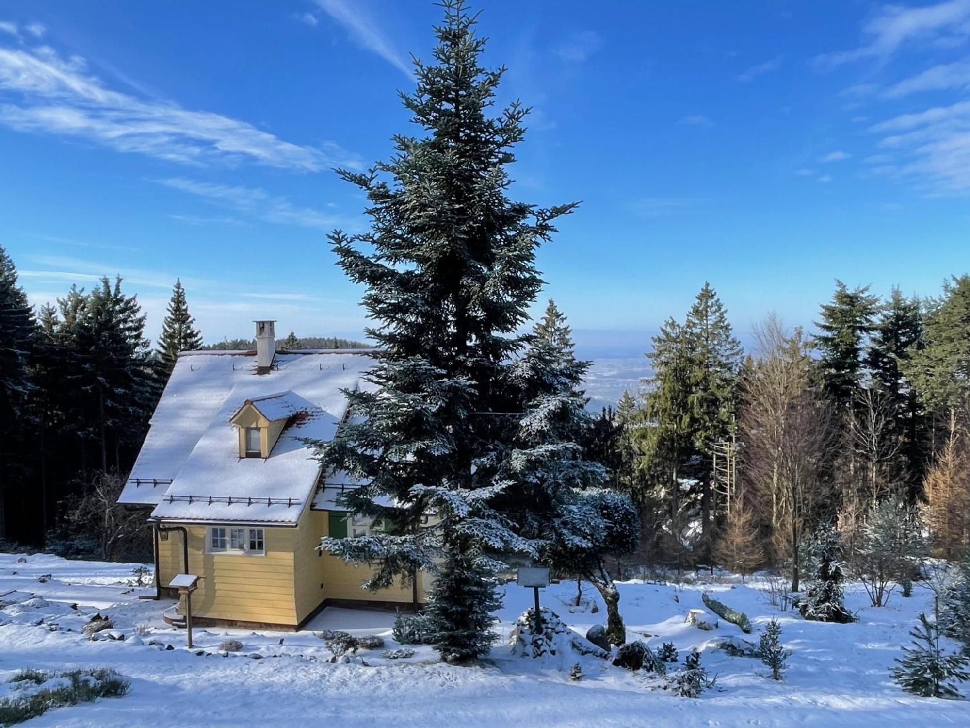 Sonnenhaeusle - Natur. Fernblick. Panorama-Sauna. Sasbachwalden Eksteriør billede